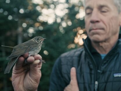 Man holding a bird during conservation practices