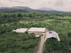 Reserva Zorzal Chocolate facility in Dominican rainforest. Aerial view of white buildings surrounded by lush greenery